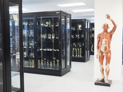 Anatomické muzeum 